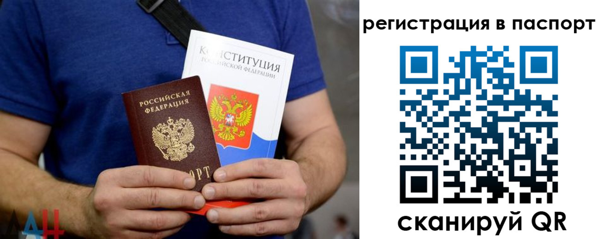 прописка гарантия в Новозыбкове